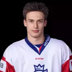 pitris11