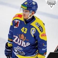 hajsmik20