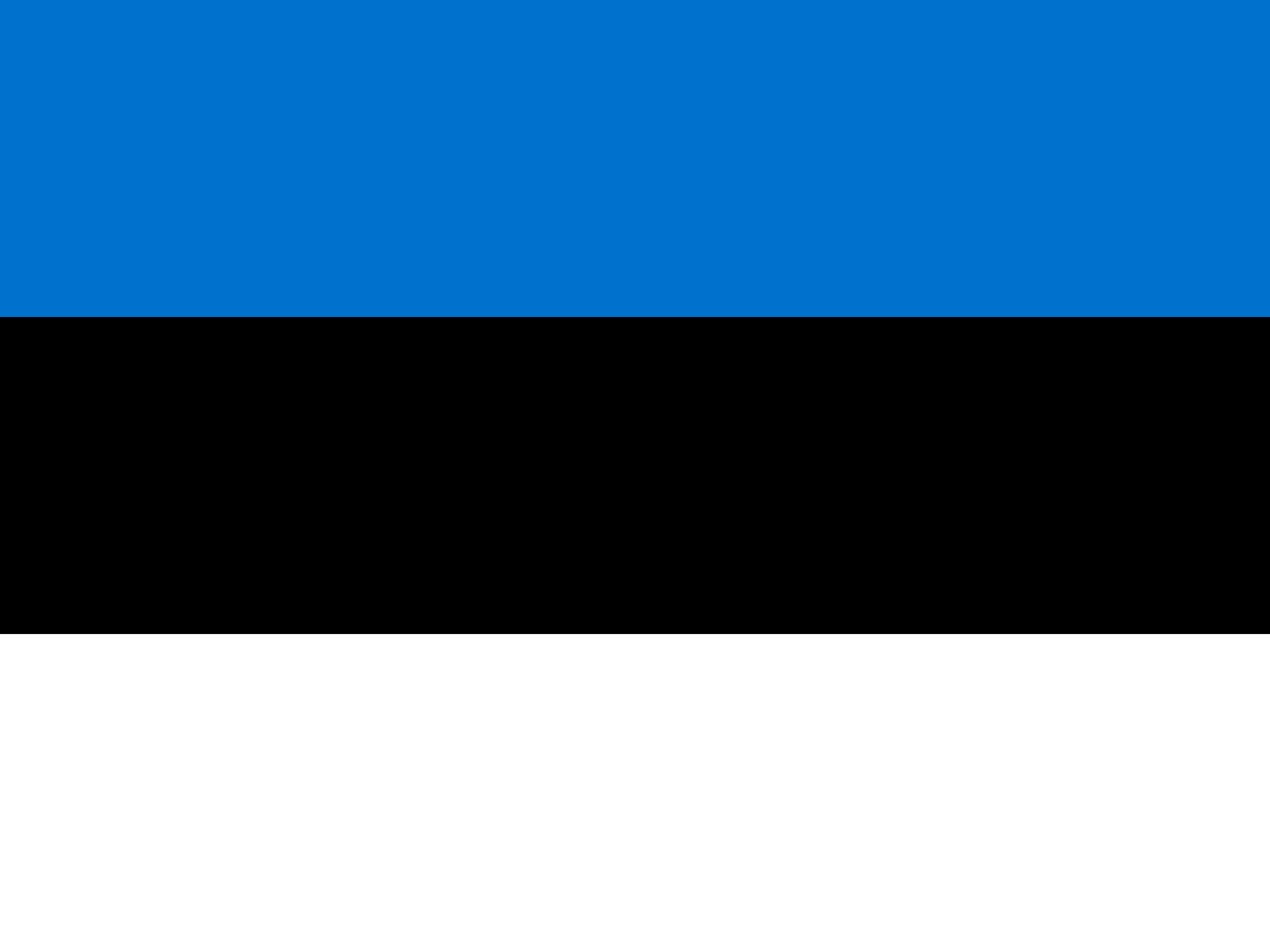 eHockey Estonia